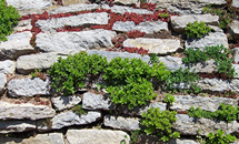 Buffalo Retaining Walls